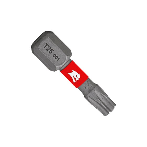 1" #25 Torx Drive Bits (2-pk)